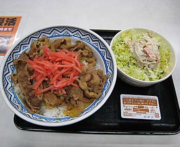 牛丼（大盛）+ごぼうサラダ