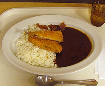 Curry Kitchen カレキチ　早稲田店／アジフライカレー